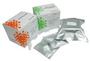 Influenza detection kit - Isopollo® Influenza A&B